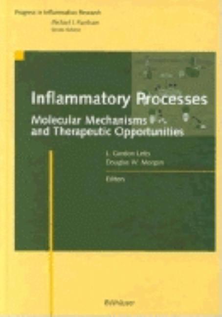 Inflammatory Processes: Molecular Mechanisms and Therapeutic Opportunities