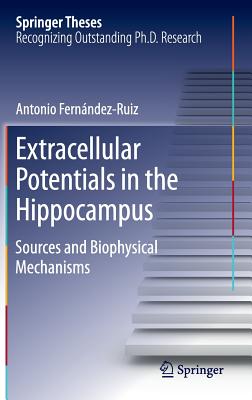 Extracellular Potentials in the Hippocampus: Sources and Biophysical Mechanisms