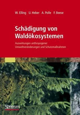Schädigung Von Waldökosystemen: Auswirkungen Anthropogener Umweltveränderungen Und Schutzmaßnahmen