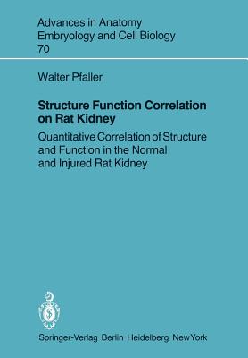 Structure Function Correlation on Rat Kidney: Quantitative Correlation of Structure and Function in the Normal and Injured Rat Kidney