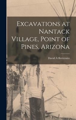 Excavations at Nantack Village, Point of Pines, Arizona