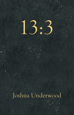 13: 3