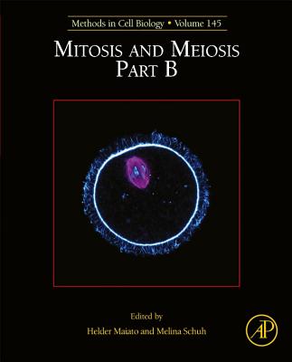 Mitosis and Meiosis Part B: Volume 145