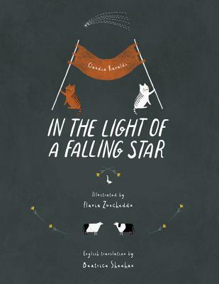 In the light of a falling star