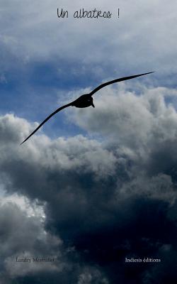 Un albatros !