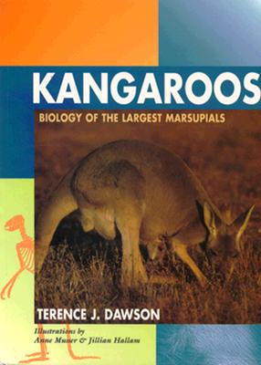 Kangaroos: Biology of the Largest Marsupials