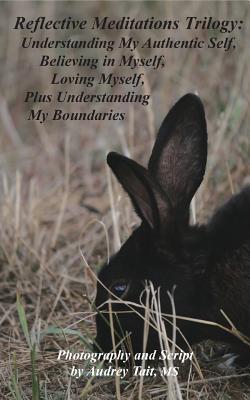 Reflective Meditations Trilogy: Understanding My Authentic Self, Believing in Myself, Loving Myself, Plus Understanding My Boundaries
