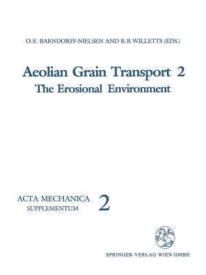 Aeolian Grain Transport: The Erosional Environment