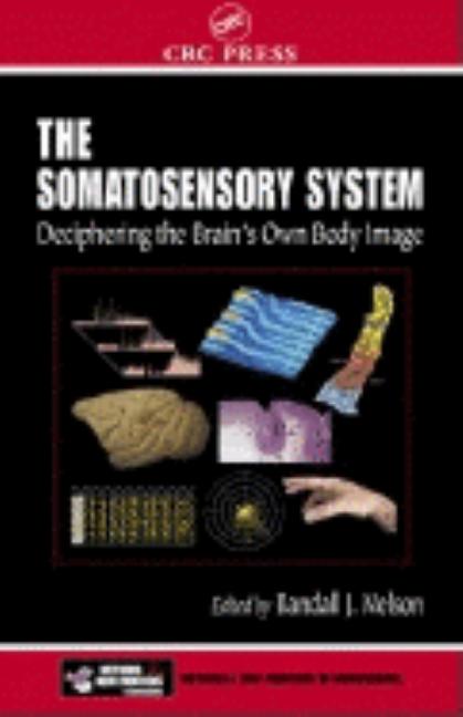 The Somatosensory System: Deciphering the Brain's Own Body Image