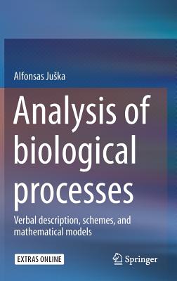 Analysis of Biological Processes: Verbal Description, Schemes, and Mathematical Models