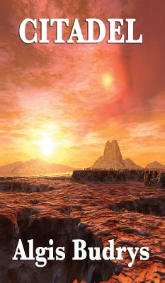 Citadel: A Positronic Book