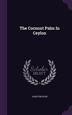 The Coconut Palm In Ceylon