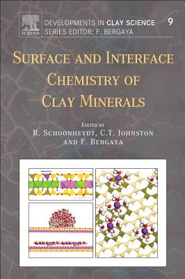 Surface and Interface Chemistry of Clay Minerals: Volume 9