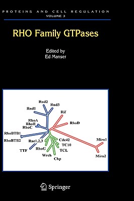 Rho Family Gtpases
