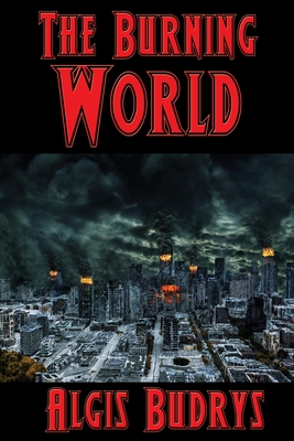 The Burning World: A Positronic Book