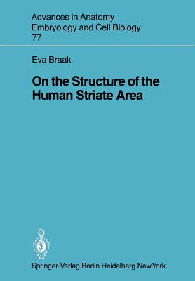 On the Structure of the Human Striate Area