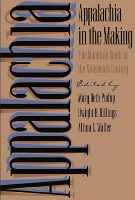 Appalachia in the Making: The Mountain South in the Nineteenth Century