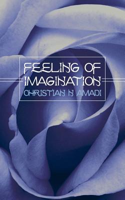 Feeling of Imagination