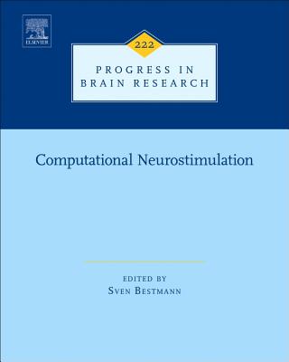 Computational Neurostimulation: Volume 222