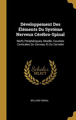 Développement Des Éléments Du Système Nerveux Cérébro-Spinal: Nerfs Périphériques, Moelle, Couches Corticales Du Cerveau Et Du Cervelet