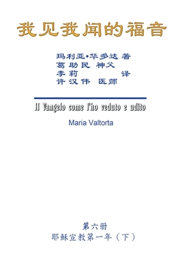 The Gospel As Revealed to Me (Vol 6) - Simplified Chinese Edition: 我见我闻的福音(第六