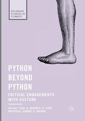 Python Beyond Python: Critical Engagements with Culture