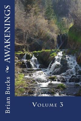 Awakenings: Volume 3