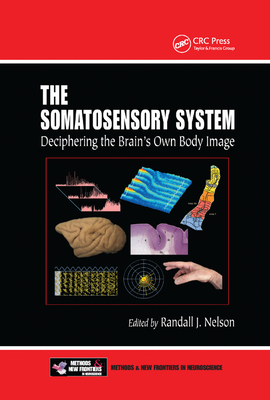 The Somatosensory System: Deciphering the Brain's Own Body Image