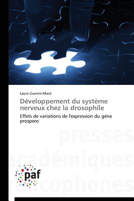 Développement du système nerveux chez la drosophile