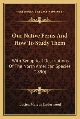 Our Native Ferns And How To Study Them: With Synoptical Descriptions Of The North American Species (1890)
