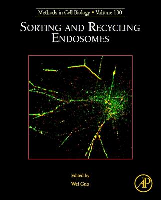 Sorting and Recycling Endosomes: Volume 130