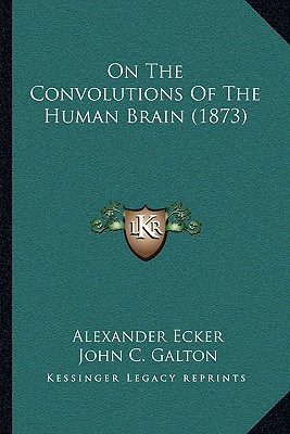 On The Convolutions Of The Human Brain (1873)