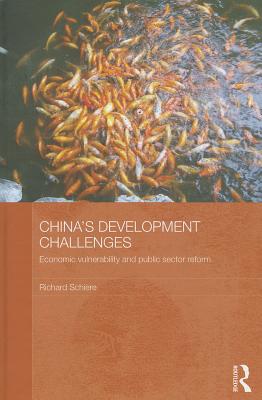 China's Development Challenges: Economic Vulnerability and Public Sector Reform
