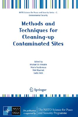 Methods and Techniques for Cleaning-Up Contaminated Sites