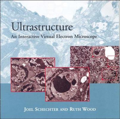 Ultrastructure: An Interactive Virtual Electron Microscope