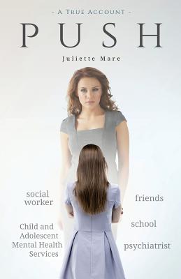 push: Push is an account of denial, desperation, disappointment - and finally, determination. It's the way I got help with my mentally ill child.
