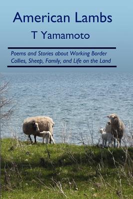 American Lambs: Poems and Stories about Working Border Collies, Sheep, Family,