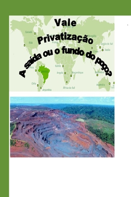 Vale: Privatização - A Saída ou o Fundo do Poço?