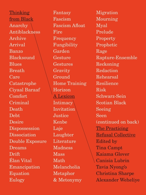 Thinking from Black: A Lexicon
