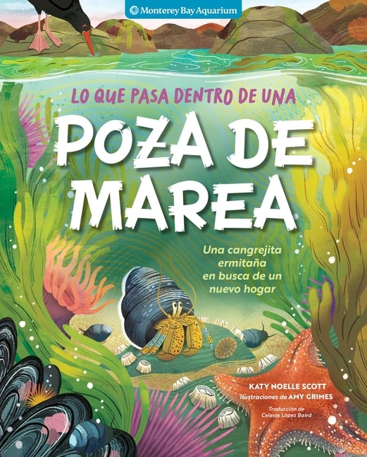 Lo Que Pasa Dentro de Una Poza de Marea: Una Cangrejita Ermitaña En Busca de Un Nuevo Hogar