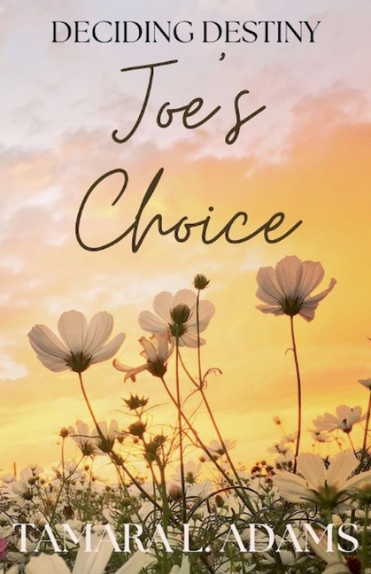 Deciding Destiny: Joe's Choice