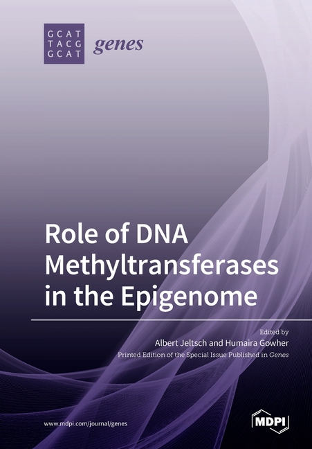 Role of DNA Methyltransferases in the Epigenome