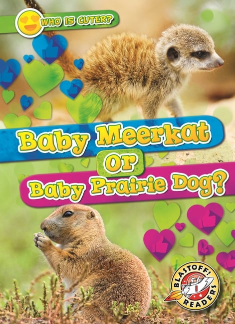 Baby Meerkat or Baby Prairie Dog?