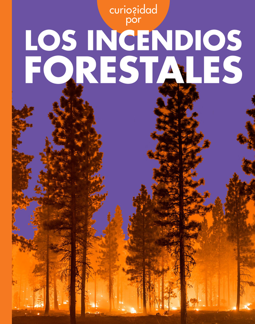 Curiosidad Por Los Incendios Forestales