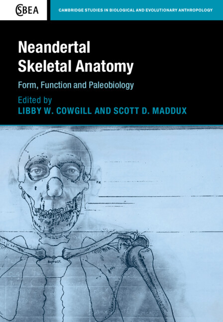 Neandertal Skeletal Anatomy