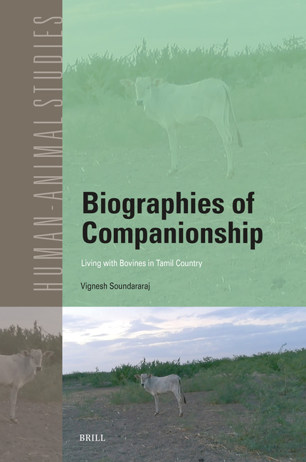 Biographies of Companionship: Living with Bovines in Tamil Country