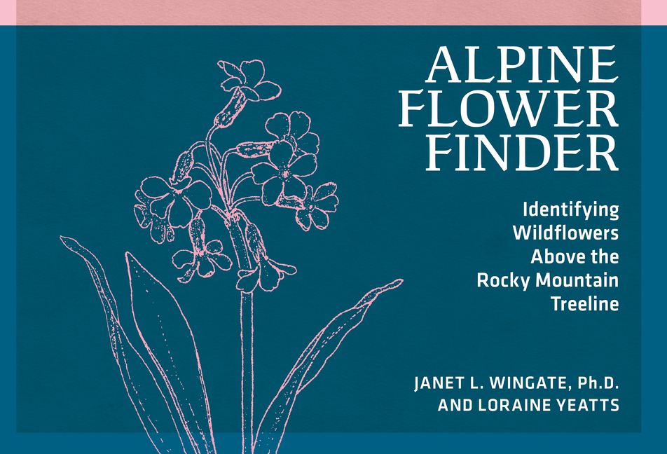 Alpine Flower Finder: Identifying Wildflowers Above the Rocky Mountain Treeline