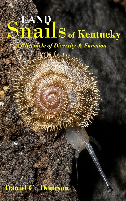 Kentucky's Land Snails A Chronicle of Diversity and Form