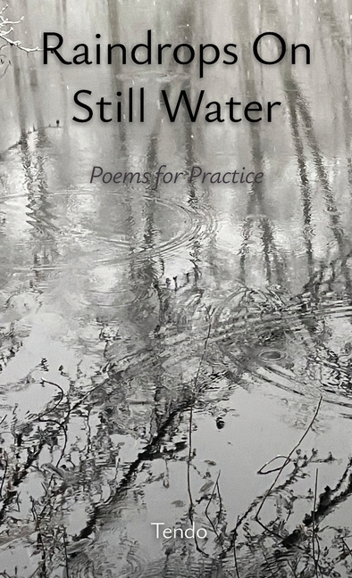 Raindrops on Still Water: Poems for Practice