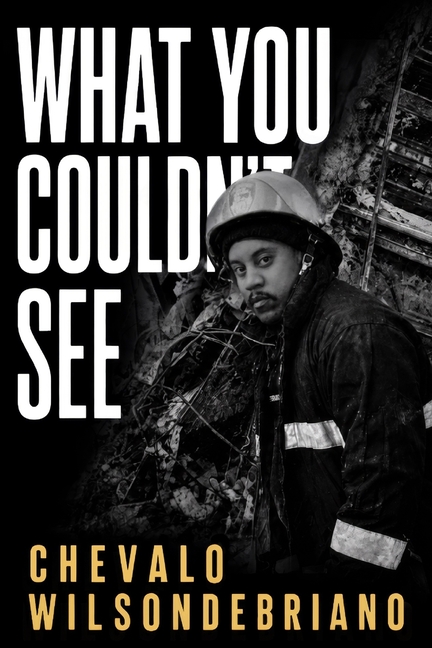 What You Couldn't See: A 9/11 First Responder's Untold Story of Surviving the Collapse and Surviving What Came After